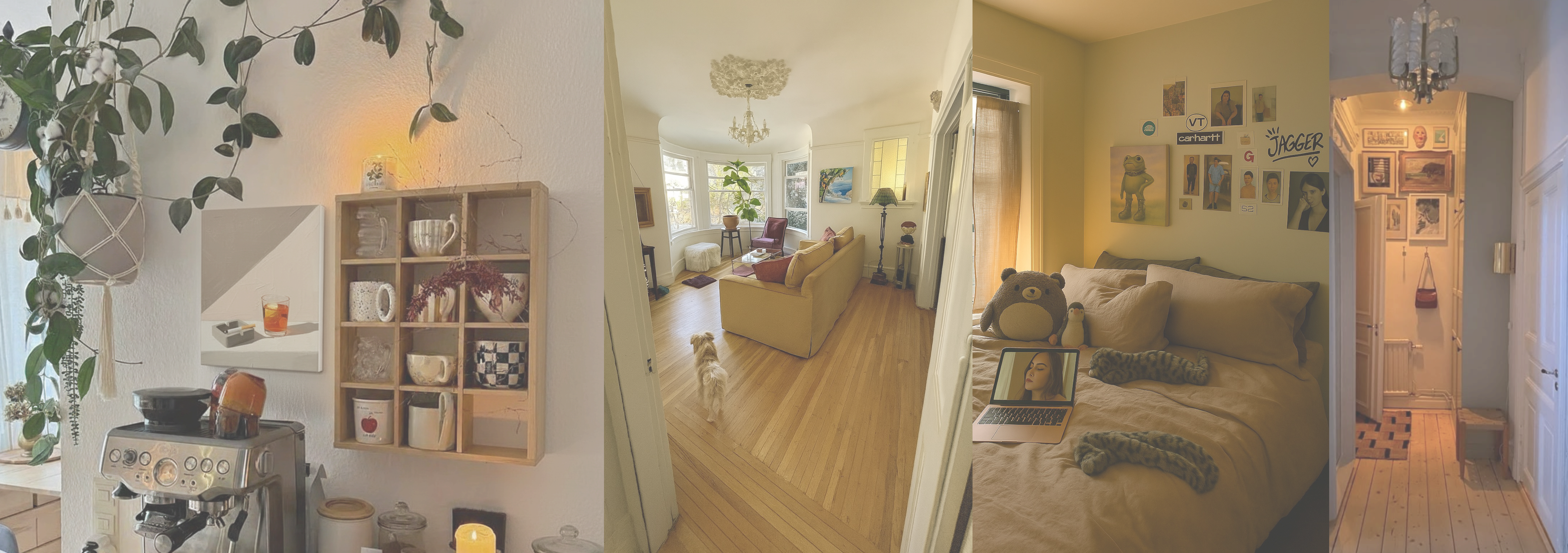 PICASO Art Gallery Background